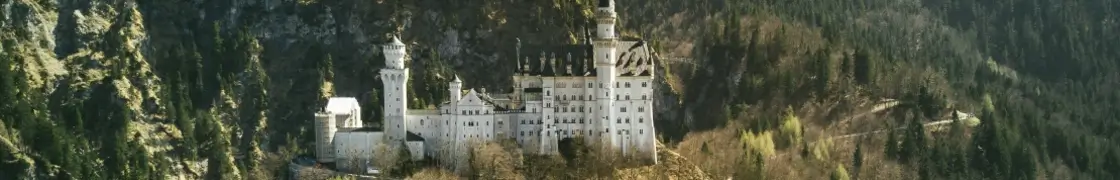 Scholarly Civilisations