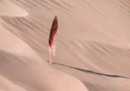 Desert Civilisations