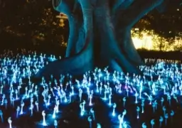 Forest Civilisations